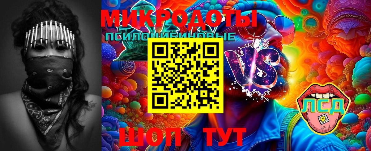 Псилоцибиновые грибы MAGIC MUSHROOMS  купить наркоту  Ноябрьск  Галлюциногенные грибы Magic Shrooms  Вход с VPN 