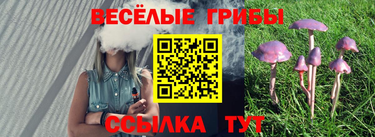 Псилоцибиновые грибы Psilocybine cubensis Ноябрьск